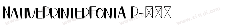NativePrinterFontA R字体转换